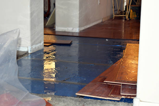Professional Emergency Water Damage Restoration technician working in Huntly, VA